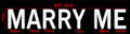 Customized high-end bulb lettering-2